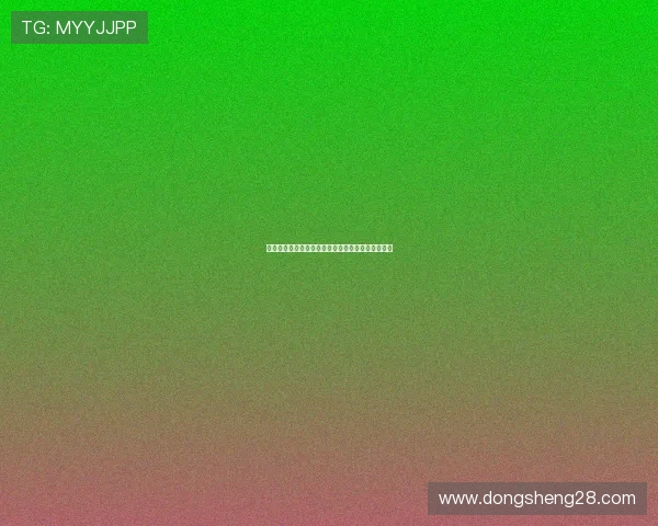塞内加尔对伊拉克比赛现场氛围与观赛指南详细介绍 塞内加尔对伊拉克比赛现场氛围与观赛指南详细介绍
