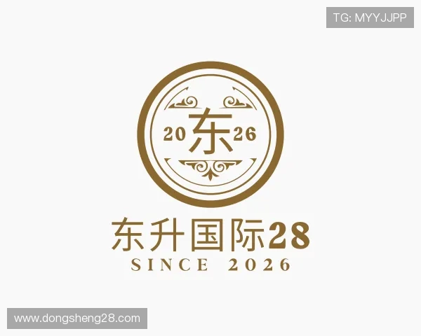 解读东升国际28